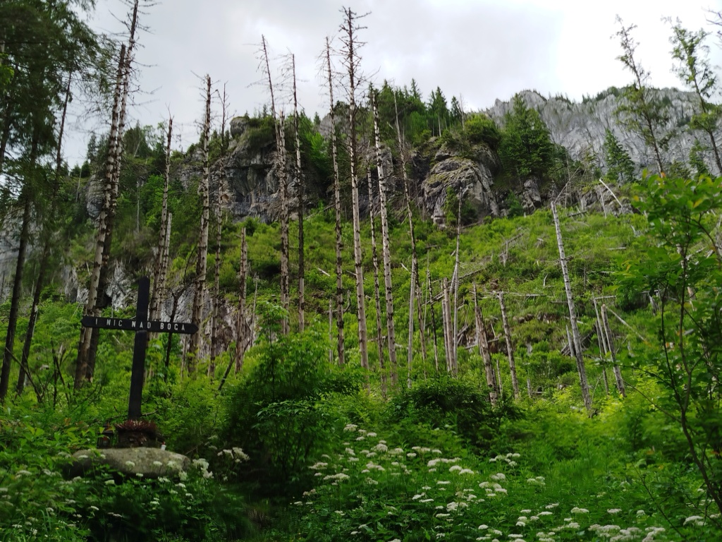 Zakopane_30