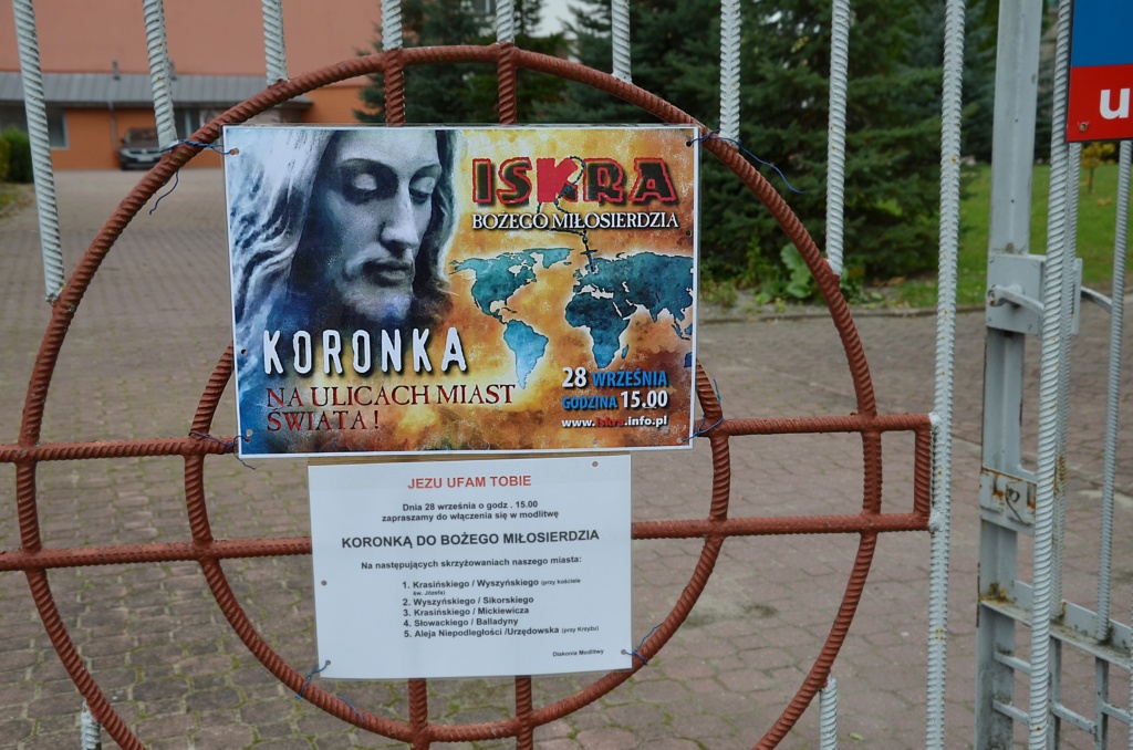 Koronka _01